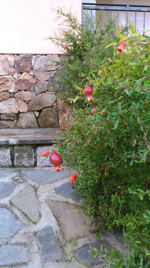 Villa Muriscuvo Budoni Dış mekan fotoğraf